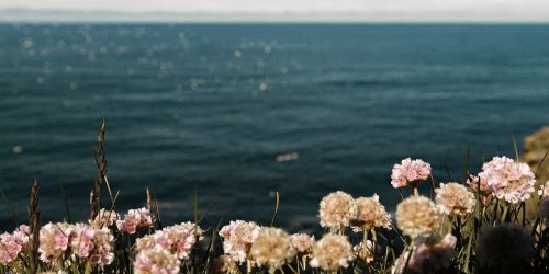 emma-francis-133521-unsplash