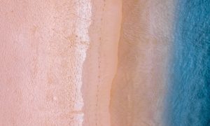 nikldn-690502-unsplash